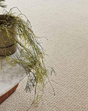 Wool carpet beneath table and plant in Geelong home