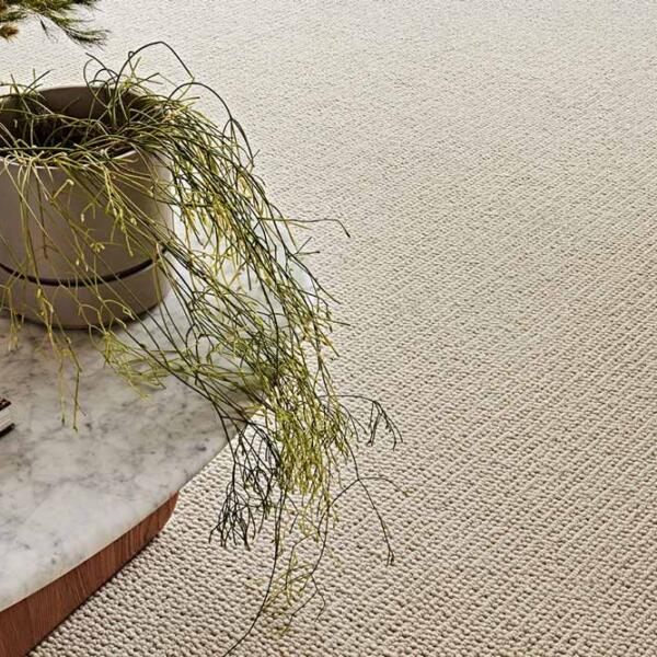 Wool carpet beneath table and plant in Geelong home