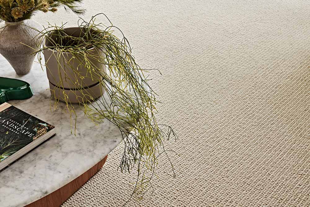 Wool carpet beneath table and plant in Geelong home