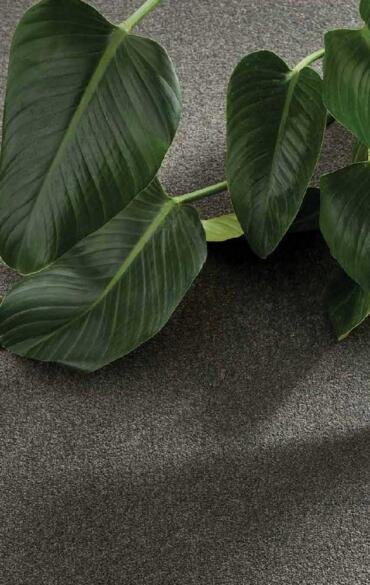 Close up of dark coloured polyester carpet Geelong