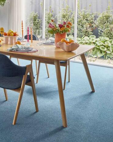 Blue coloured Triexta carpet Geelong